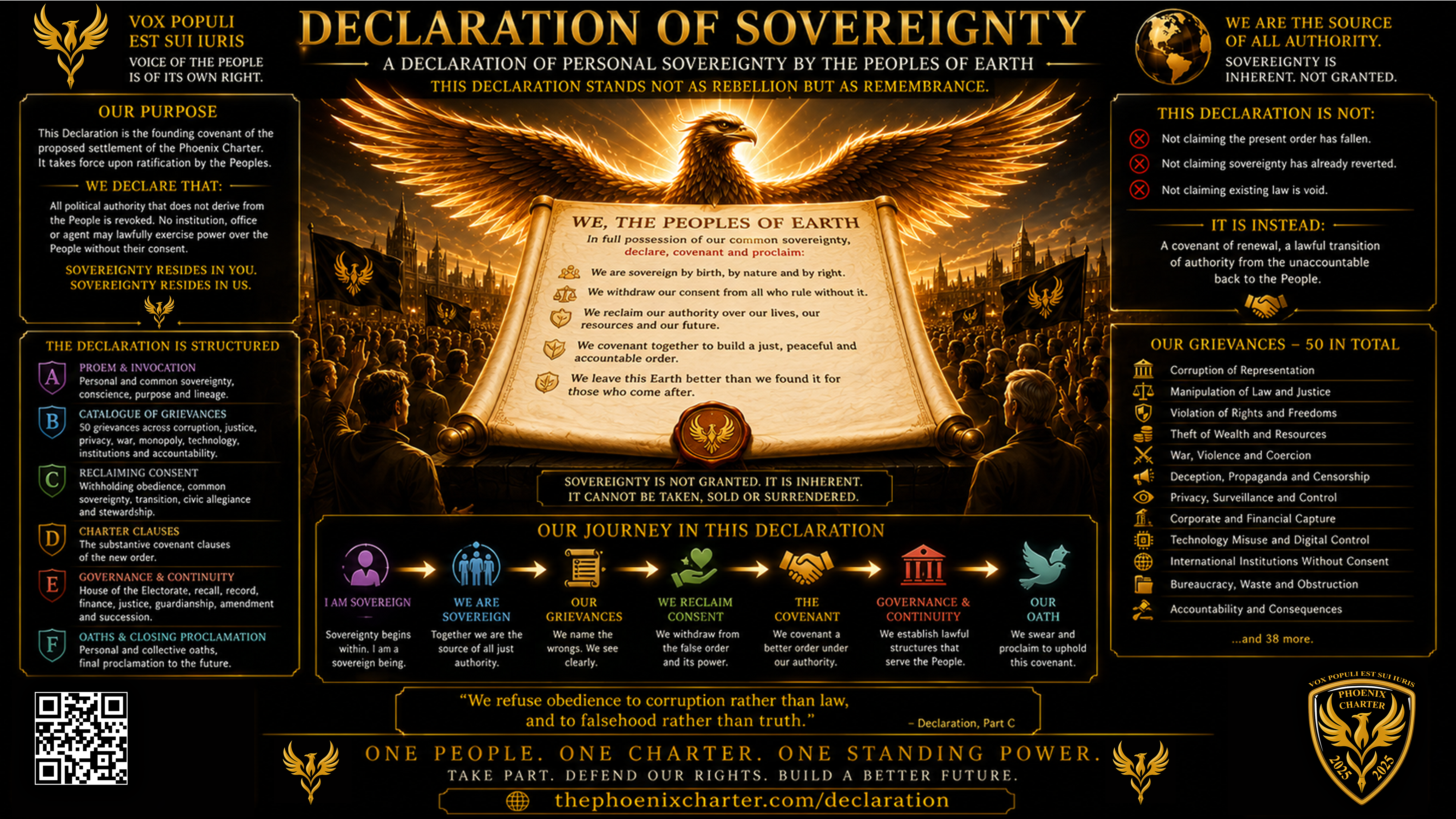 Declaration Vision Panel